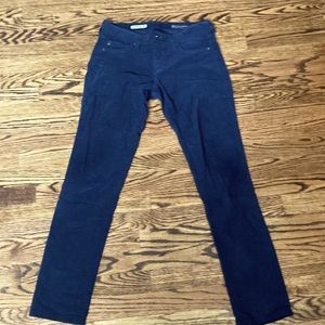 AG Adriano Goldschmied the Jegging Navy Blue Velvet  Size 27 R